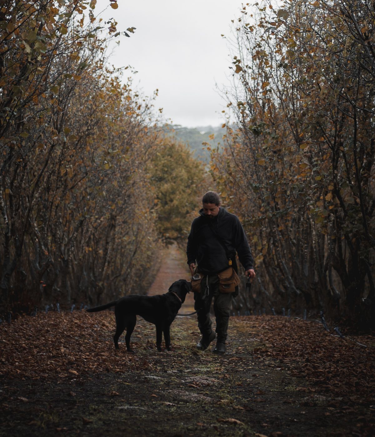 Truffle Hunting - Genuinely Southern Forests